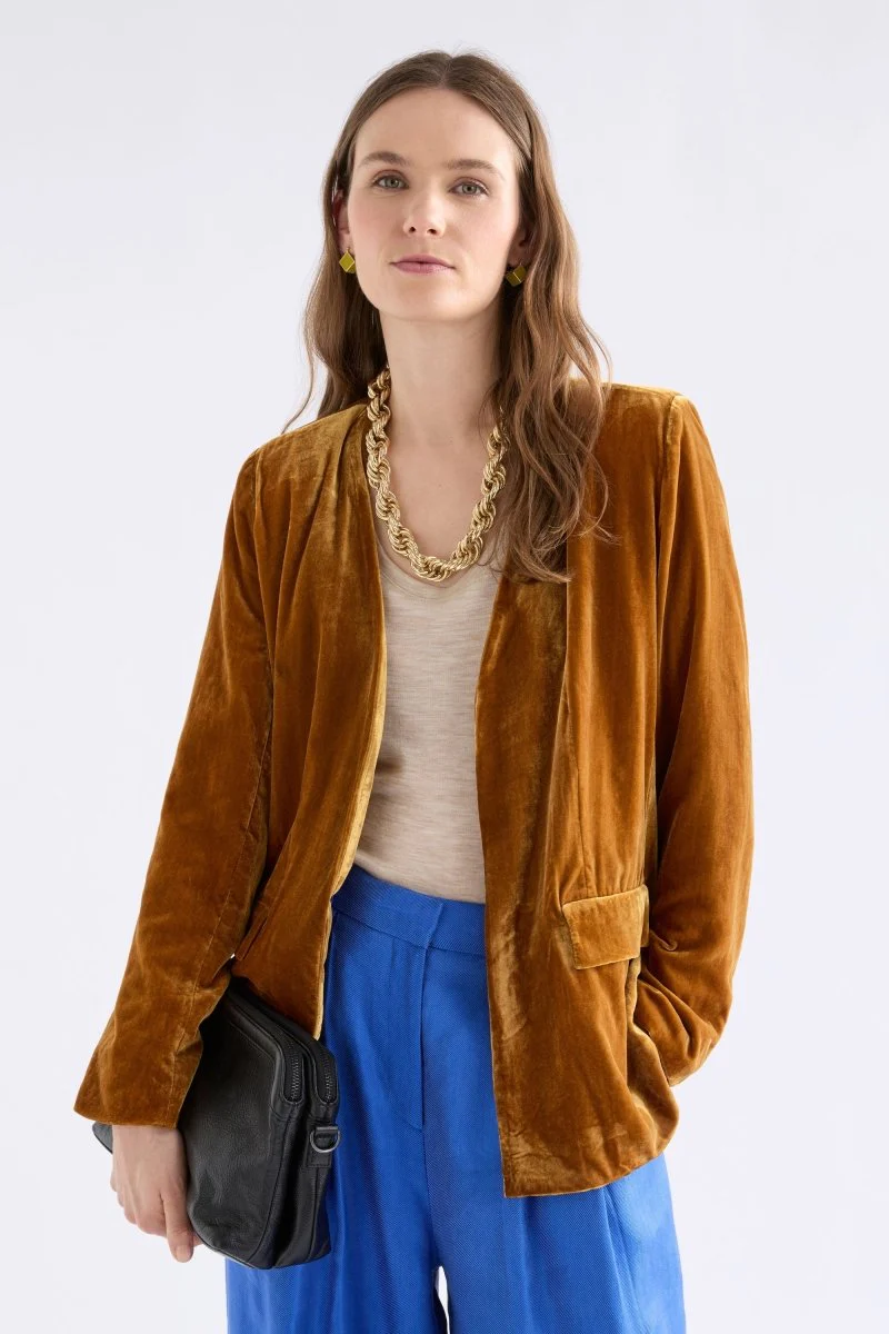 Velvet Soft Blazer Jacket Golden